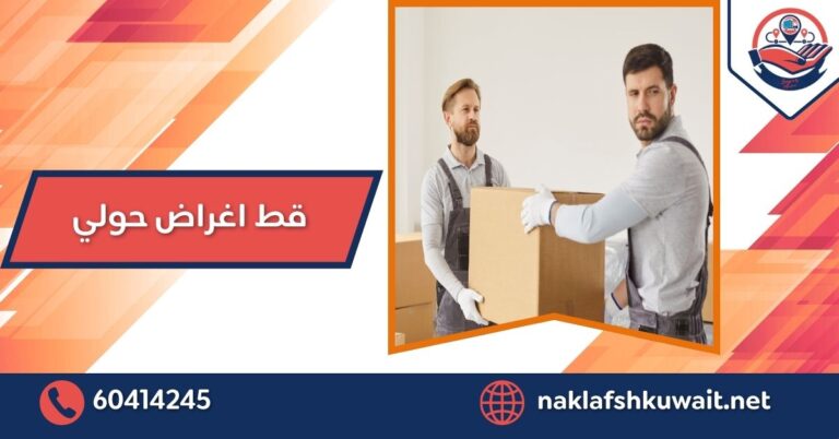 قط اغراض حولي